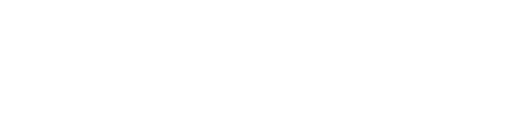 RAIDS AI - Intelligence Under Watch
